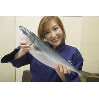 1 hour fish cutting lesson with sashimi instructor in tsukiji