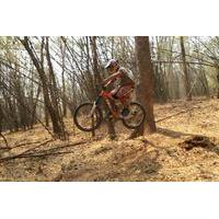 1-Day Advanced Downhill Single Track Doi Suthep National Park in Chiang Mai