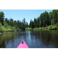 1 day algonquin art and kayak or canoe eco tour