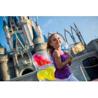 1-Day Admission to Disney World Theme Park with Transportation from Miami