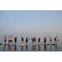 1 Hour Virginia Beach Paddleboard Rentals