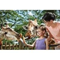 1-Day Singapore Zoo Ticket with Tram Ride