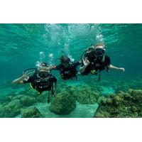 1-Day Discover Diving in Ko Lanta