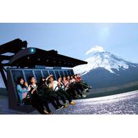 1-Day Mt Fuji Bus Tour and Fuji Airways 4D Experience