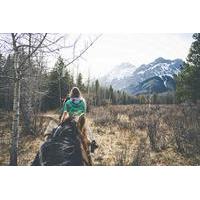 1 hour horseback trail ride in kananaskis