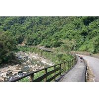 1-Day Cycling Tour: Daiyujue River Cycling Path and Pinglin Tea Industry Museum