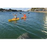 1 Hour Single Person Kayak Rental in Miami Beach
