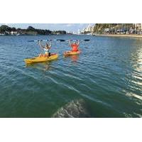 1 hour single person kayak rental in miami beach