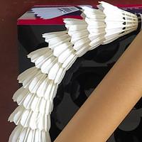 1 PCS Exercise Fitness Shuttleco...