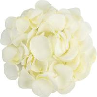 1 Jug of White Rose Petals