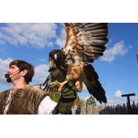 1 Day Trip to Provins, Medieval ...