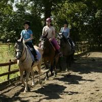 1 hour family group horse riding lesson for a minimum of 4 riders sout ...