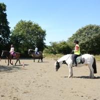 1 Hour Children English Horse Riding Lesson | Beginners Group | South East