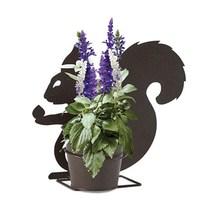 1 Pre-Planted Squirrel Silhouette Pot with Salvia Seascape Plants