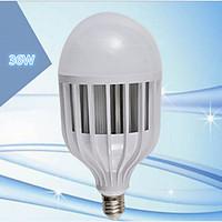 1 pcs LERHOME E26/E27 36W 72SMD 5730 Cool White G95 Cage Type Decorative Globe Bulbs 220 V