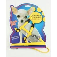 1 x Small Dog Lead & Harness Blue, Pink Or Yellow Toy