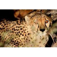 10 day namibia hightlights guided tour from windhoek