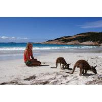 10 day adelaide to perth camping adventure