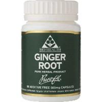 (10 PACK) - Bio Health - Ginger Root | 60\'s | 10 PACK BUNDLE