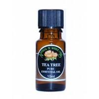 (10 PACK) - Natural By Nature Oils - Tea Tree Essential Oil | 10ml | 10 PACK BUNDLE
