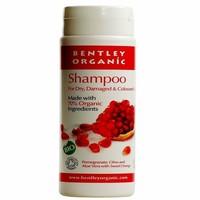 10 pack bentley dry damaged shampoo 250ml 10 pack super saver save mon ...
