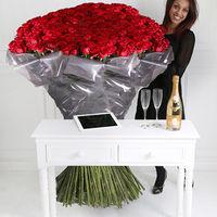 1000 of The World\'s Largest Roses, Cristal & iPad - flowers