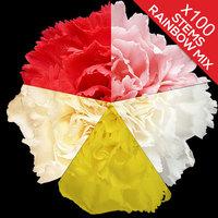 100 Classic Mixed Carnations