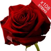 108 Red Roses