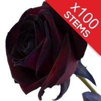 100 Black Roses
