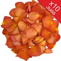 10 Jugs of Peach Rose Petals