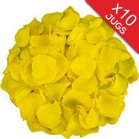 10 Jugs of Yellow Rose Petals