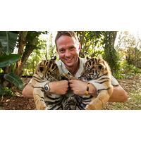 10 off giles clarks big cats afternoon tea and tour in kent