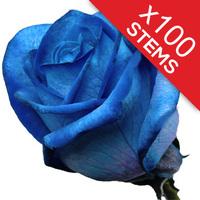 100 Blue Roses