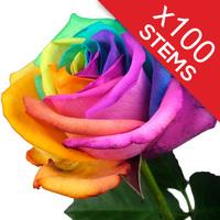 100 Happy Roses