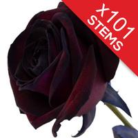 101 Black Roses