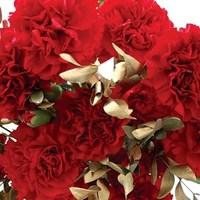 10 Red Carnations with Gold Foliage