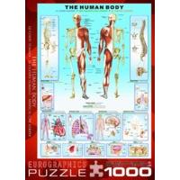 1000 Piece The Human Body Puzzle