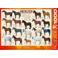 1000 Piece Breeds Of Horses Puzzle