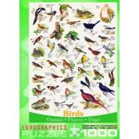 1000 Piece Types Of Birds Puzzle