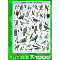 1000 Piece Birds Of Prey & Owls Puzzle