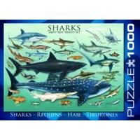 1000 Piece Breeds Of Sharks Puzzle