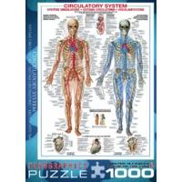 1000 piece circulatory system puzzle