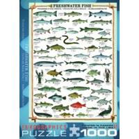 1000 Piece Freshwater Fish Puzzle