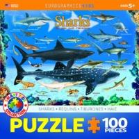 100 Piece Types Of Sharks Puzzle