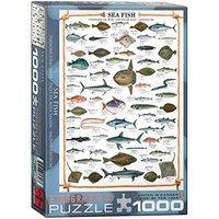 1000 Piece Sea Fish Puzzle