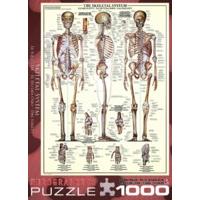 1000 Piece The Skeletal System Puzzle