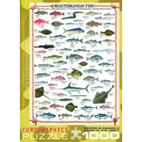 1000 Piece Mediterranean Fish Puzzle