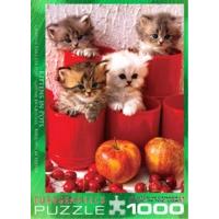 1000 Piece Kittens In Pots Puzzle