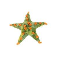 10 assorted starfish soft toy