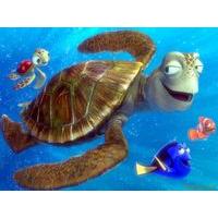 10 x 15cm Disney Finding Nemo Turtle Postcard